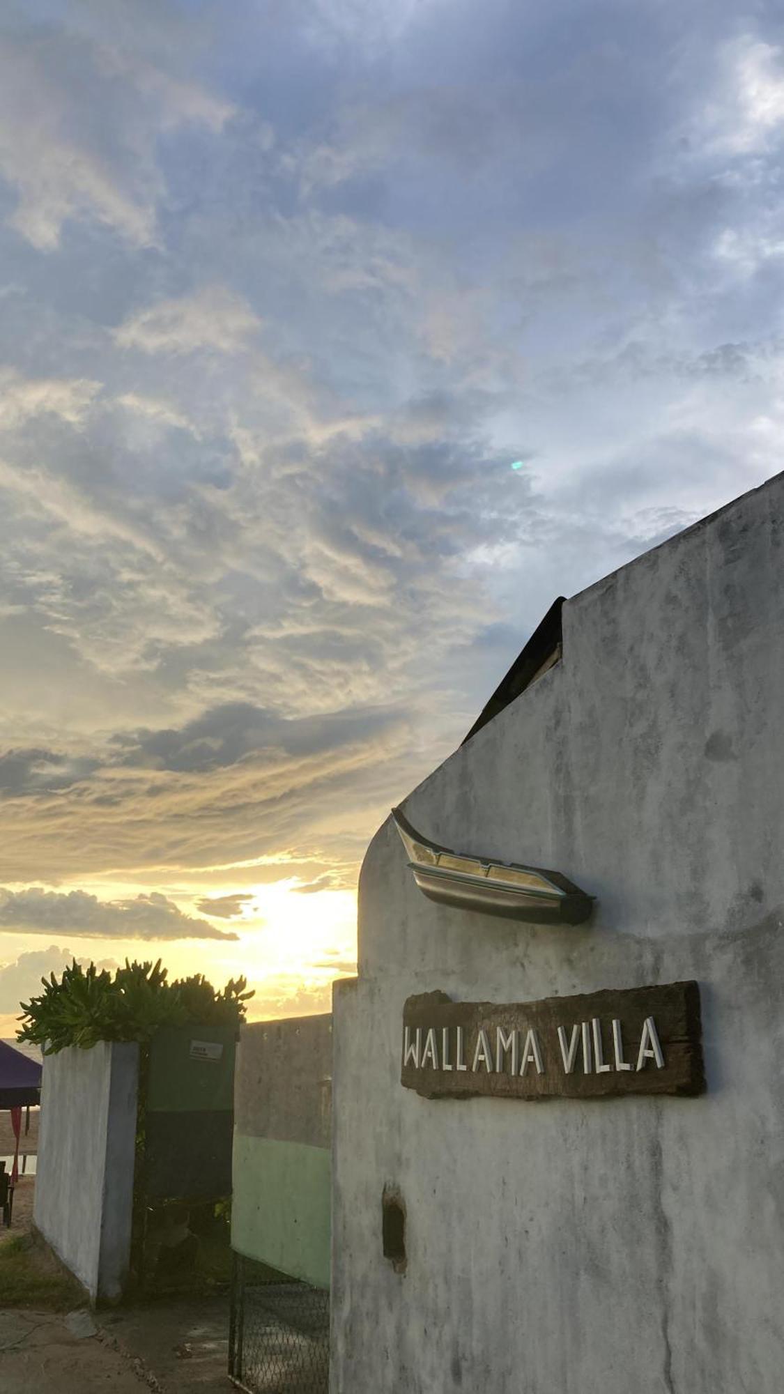 Wallama *